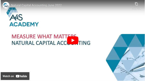 Sustainability in Action Webinar Recording  Measure What Matters Natural Capital Accounting