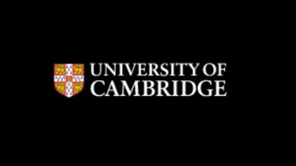 The path to net zero how SMEs can lead the way  Cambridge Institute for Sustainability Leadership CISL