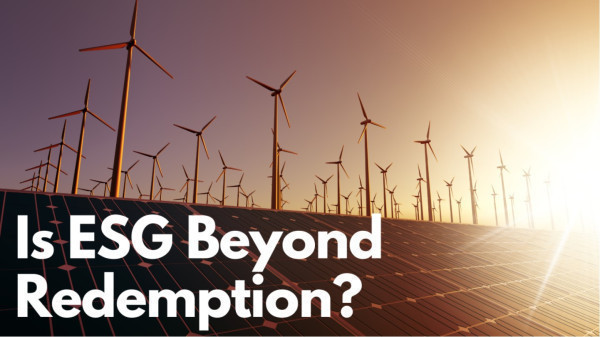 Is ESG Beyond Redemption?