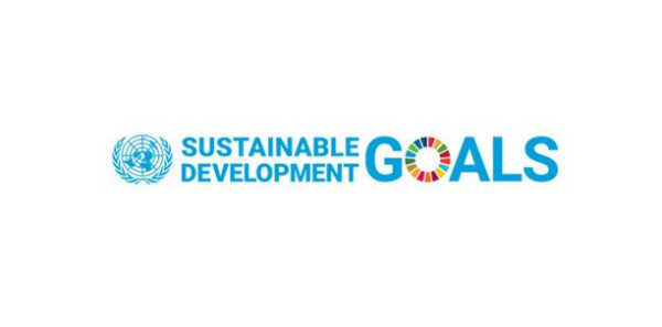 Take Action for the Sustainable Development Goals  United Nations Sustainable Development