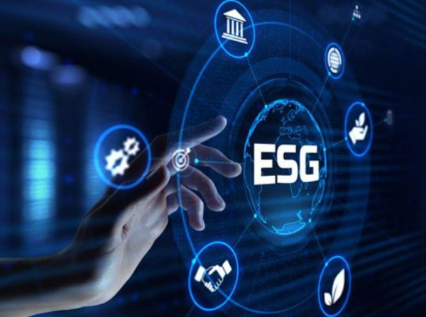 UAE may soon roll out ESG standards for all businesses to comply with | Markets – Gulf News