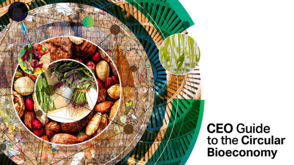 CEO Guide to the Circular Bioeconomy - World Business Council for Sustainable Development (WBCSD)