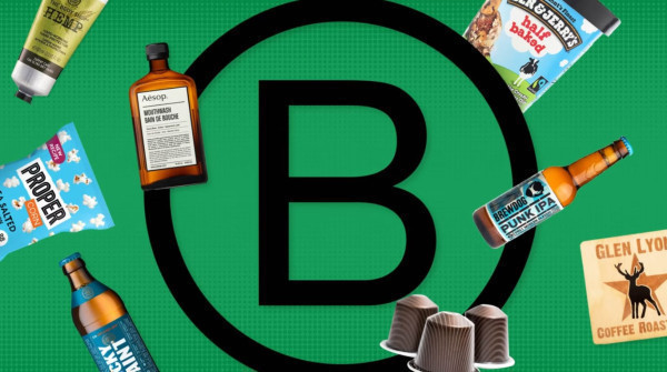 The struggle for the soul of the B Corp movement | Financial Times