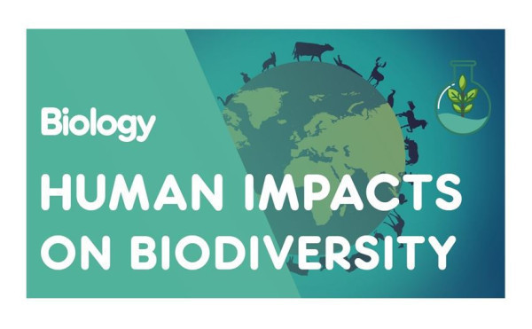 Human Impacts on Biodiversity | Ecology and Environment | Biology | FuseSchool - YouTube