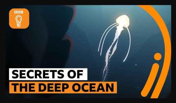 The secrets of the deep ocean | The Royal Society - YouTube