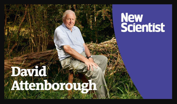 David Attenborough on Planet Earth III: The natural world is not inextinguishable - YouTube