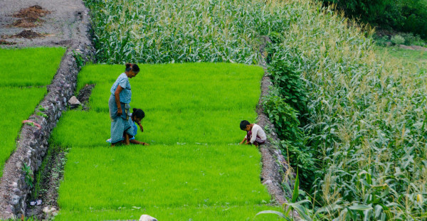 Migration: Ties to ‘home’ are key for Himalayan communities that stay despite climate risks - Carbon Brief