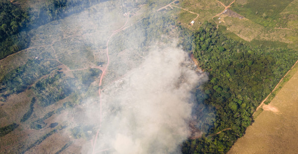 Fires could lock vast parts of the Amazon into ‘treeless state’ - Carbon Brief