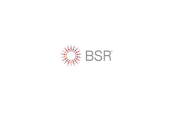 Policies, Regulations, and Standards | Sustainable Business Network and Consultancy | BSR