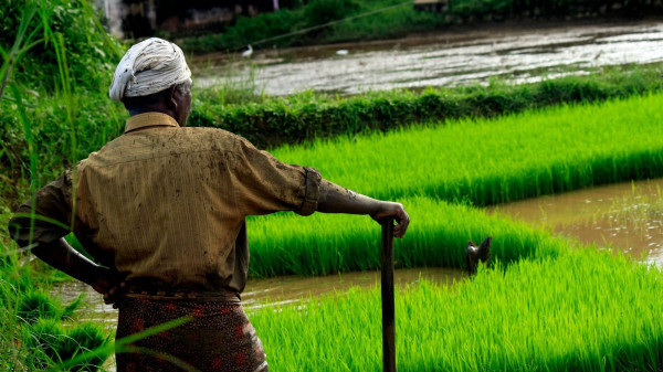 Why small-scale farmers can teach us a lot about climate change