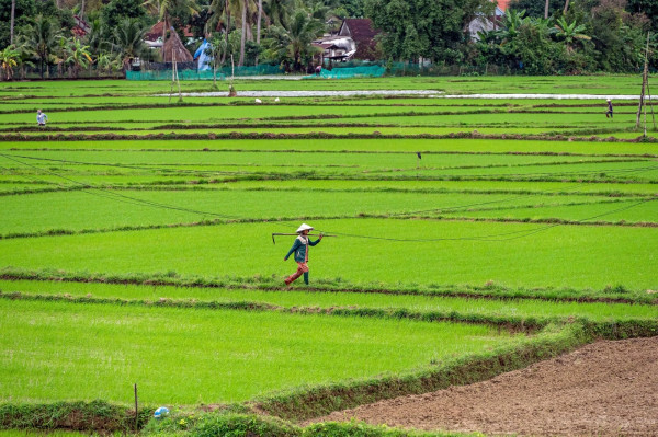 Why Public-Private-Philanthropic Partnerships are central to Asia-Pacific's climate action