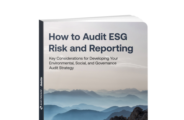 How to Audit ESG Risk and Reporting