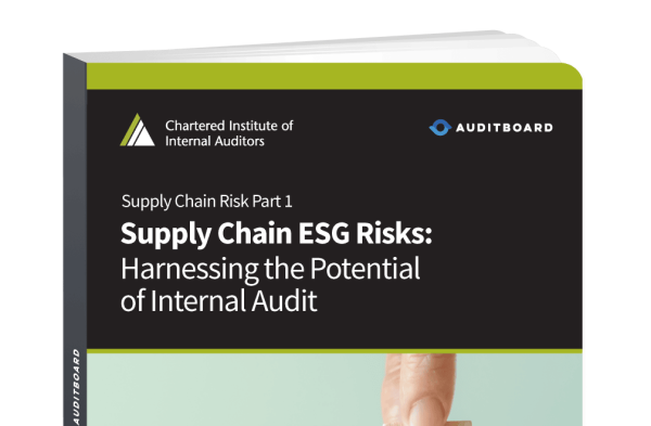 Supply Chain ESG Risks: Harnessing the Potential of Internal Audit