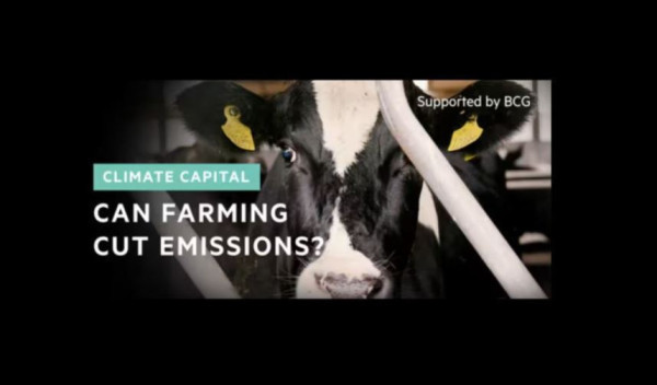 How farmers can cut emissions | FT Climate Capital