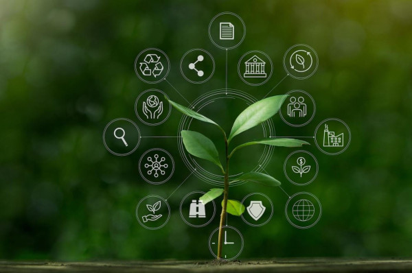 The first step toward an embedded sustainability strategy: Pinpoint key ESG issues | GreenBiz