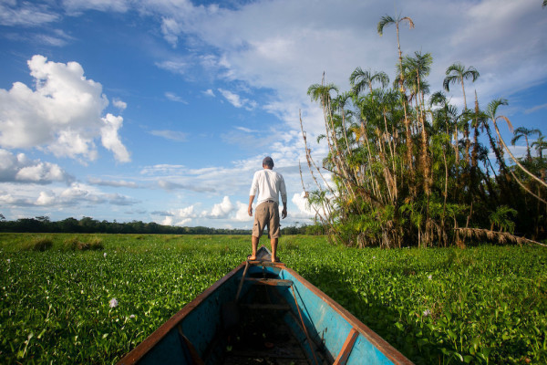 Can swapping debt for nature save the Amazon? Peru is giving it a go