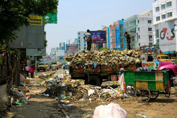 A surprising solution for reducing our food waste