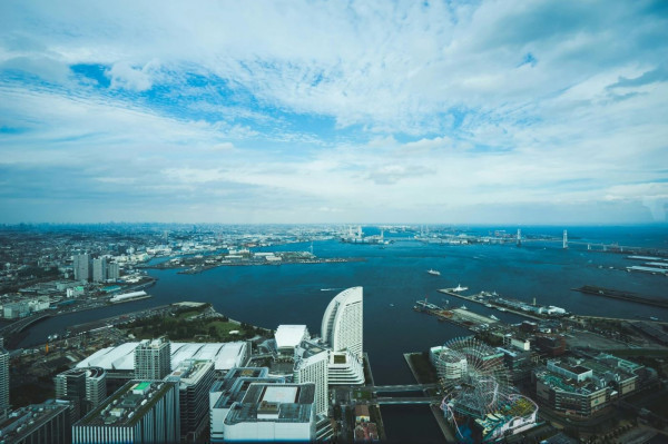 How Japan is harnessing blue carbon as a pathway to net zero