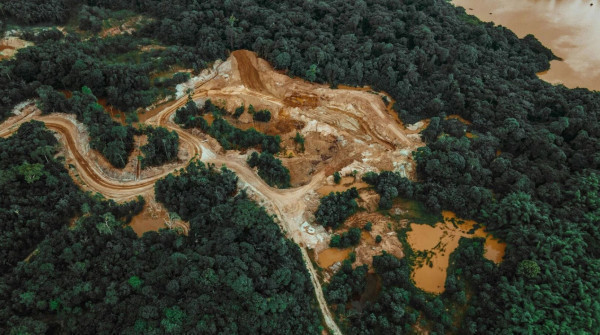 Tackling deforestation – 4 reasons companies should take a 'landscape' approach