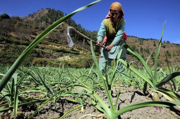 Adaptation and resilience investment: How do we get the capital it needs