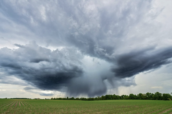 Navigating climate risks: 3 strategies for building resilient financial institutions