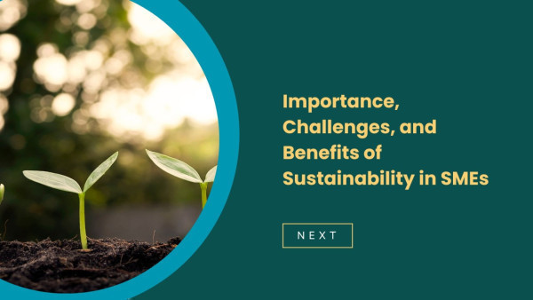 Importance, Challenges, and Benefits of Sustainability in SMEs