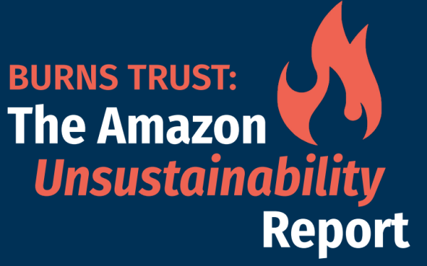 BURNS TRUST: The Amazon Unsustainability Report