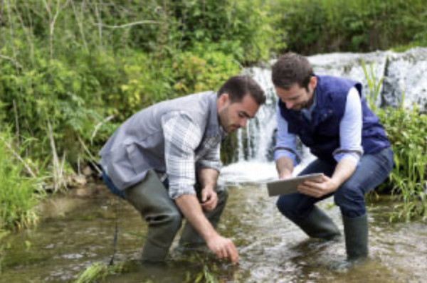 Environmental Quality Monitoring and Analysis | Free Course | Alison