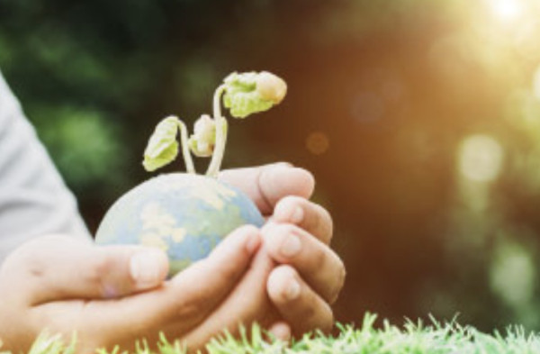 Introduction to Environmental Sustainability Course Online | Alison