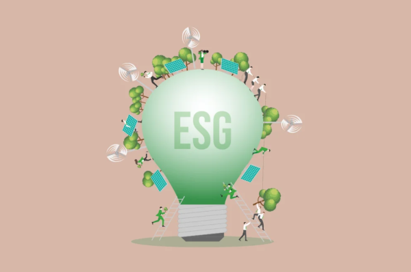 SMEs and ESG: Navigating the Path to Responsible Business