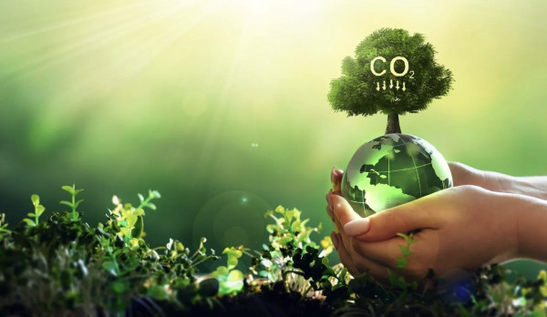 4 ways to reduce your carbon footprint quickly