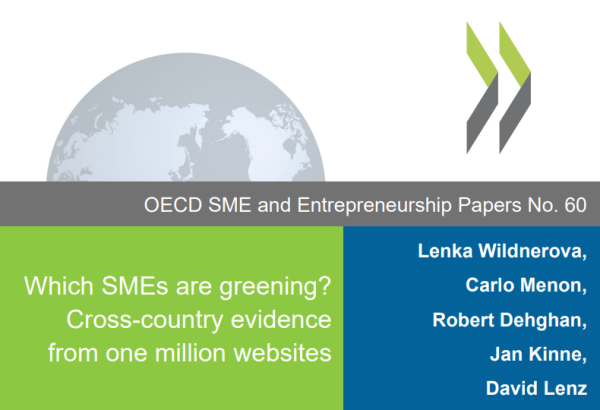 Which SMEs are greening? Cross-country evidence from one million websites