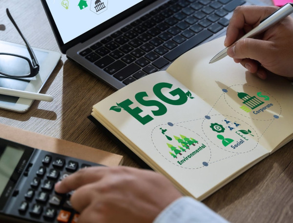 Implementation of ESG for SMEs