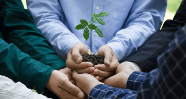 Green Practices for SMEs: Building a Sustainable Future - Business Doctors