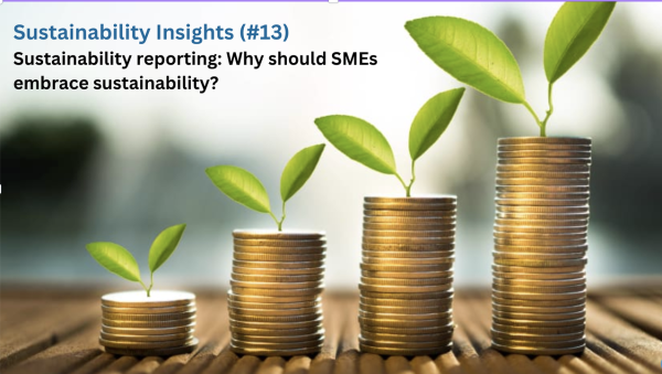 Sustainability reporting: Why should SMEs embrace sustainability?