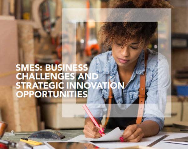 SMES: BUSINESS CHALLENGES AND STRATEGIC INNOVATION OPPORTUNITIES