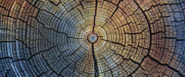Category Sample Image