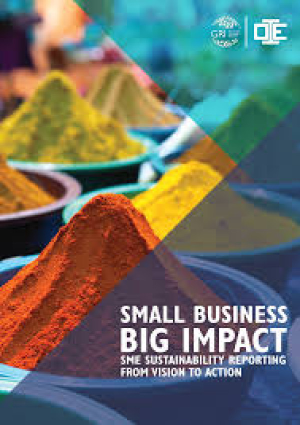 SMALL BUSINESS BIG IMPACT - SME SUSTAINABILITY REPORTING FROM VISION TO ACTION