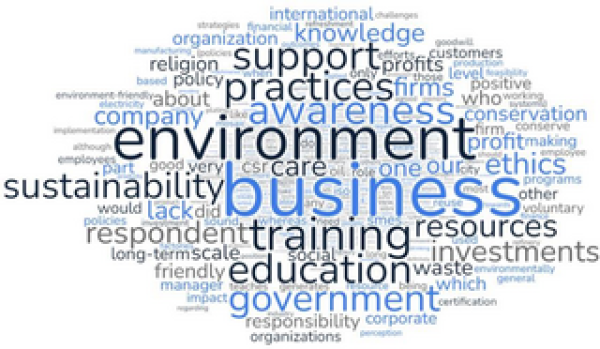 Barriers to adaptation of environmental sustainability in SMEs: A qualitative study | PLOS ONE