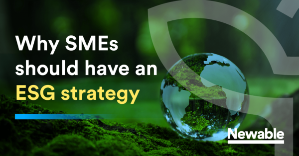 Why SMEs Should Have an ESG Strategy - Newable