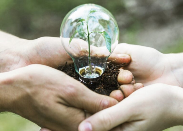 How SMEs can raise the bar on global climate goals - SME Today