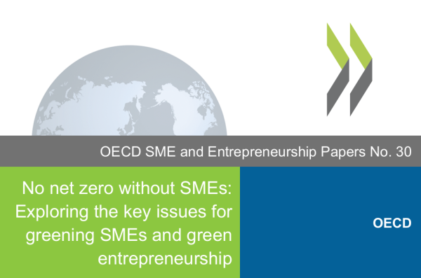 No net zero without SMEs: Exploring the key issues for greening SMEs and green entrepreneurship