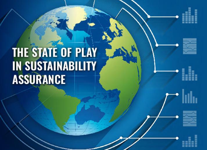 The State of Play in Sustainability Assurance | IFAC