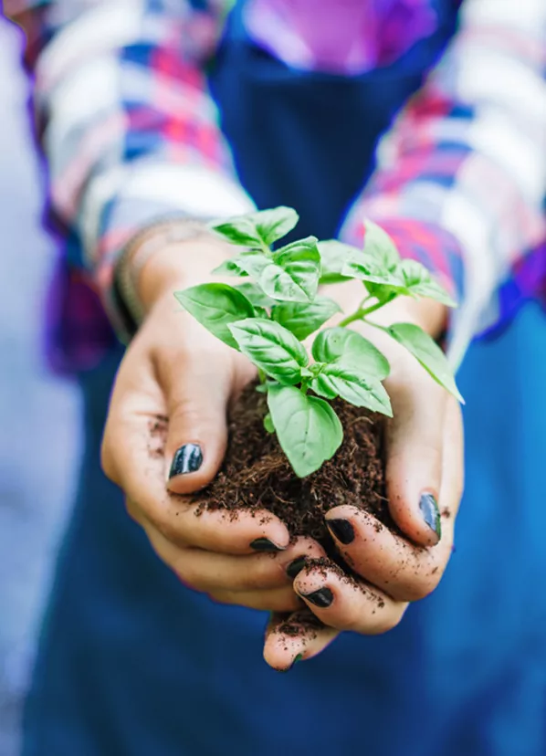 Climate change financial reporting resource centre - KPMG Global