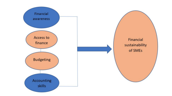 Factors Affecting Small and Medium Enterprises' Financial Sustainability in South Africa | African Journal of Inter/Multidisciplinary Studies