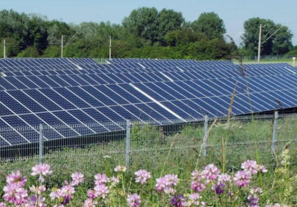 Solar farms a ‘blight on the landscape’? Research shows they can benefit wildlife