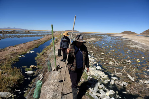 ‘We empower ourselves’: the women cleaning up Bolivia’s Lake Uru Uru