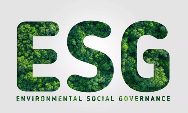 The Impact of Environmental, Social, and Governance (ESG) Factors on Internal Audit