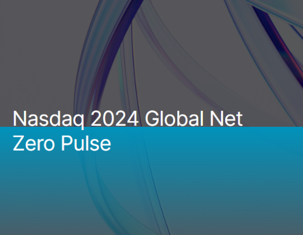 2024 Global Net Zero Pulse