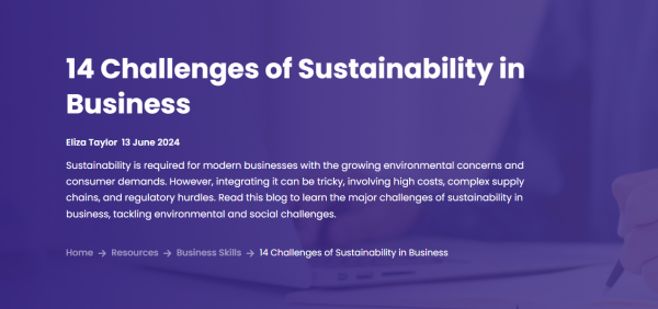 14 Key Challenges of Sustainability in Business